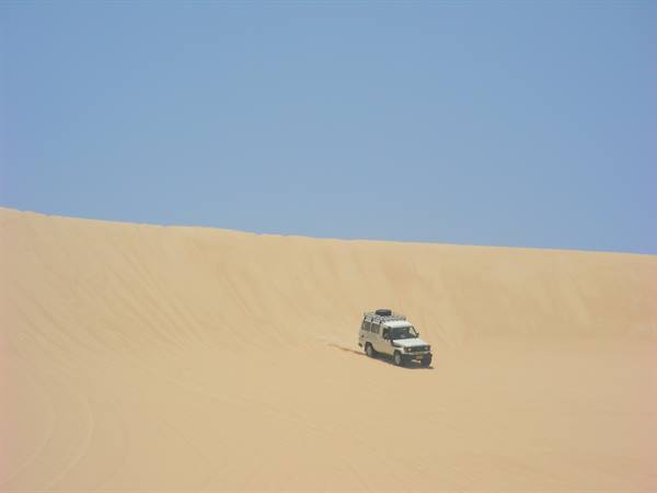 THE LIBYAN DESERT