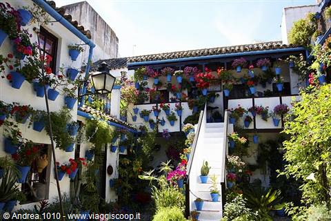 Andalusian patio