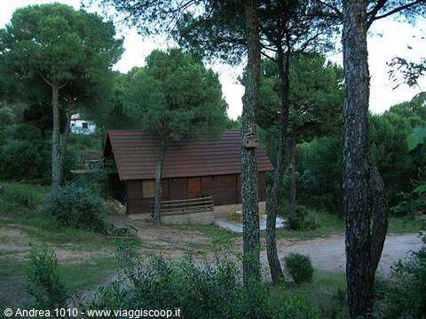 Our rural cottages in the Sierra Subbetica