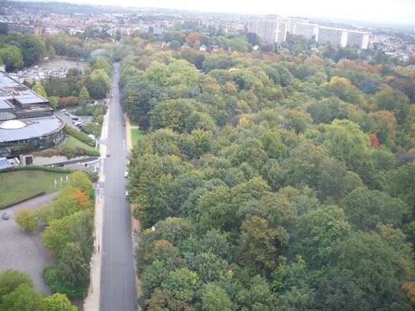 view from the Atomium