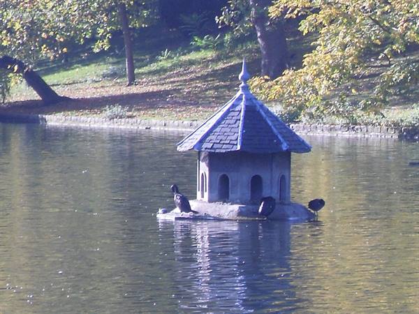 Ixelles pond
