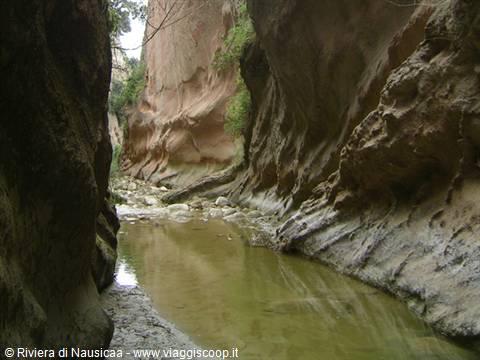 Green water between carved rock walls in Cavagrande del Cassibile canyon