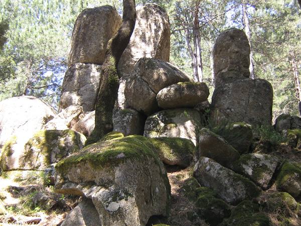 The megaliths of Nardodipace