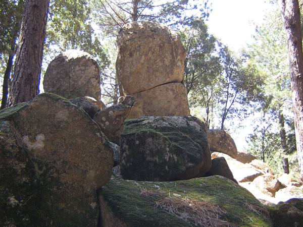 The megaliths of Nardodipace