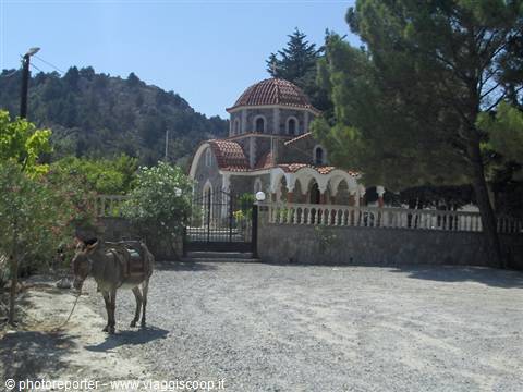 Donkey near Tsampika