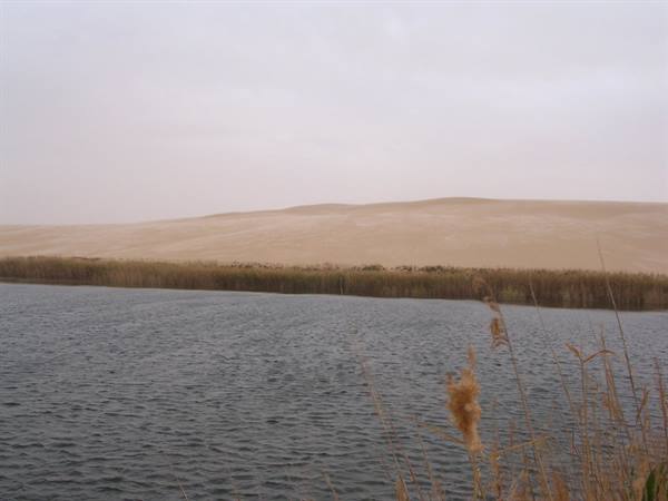 Bir wahe, lake in the Sahara