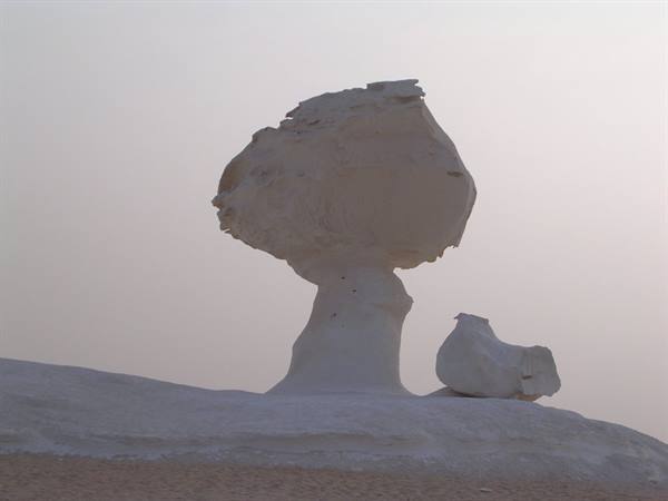 white desert:the tree and the hen
