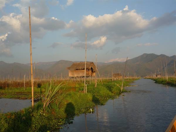 the floating gardens of Inle Lake