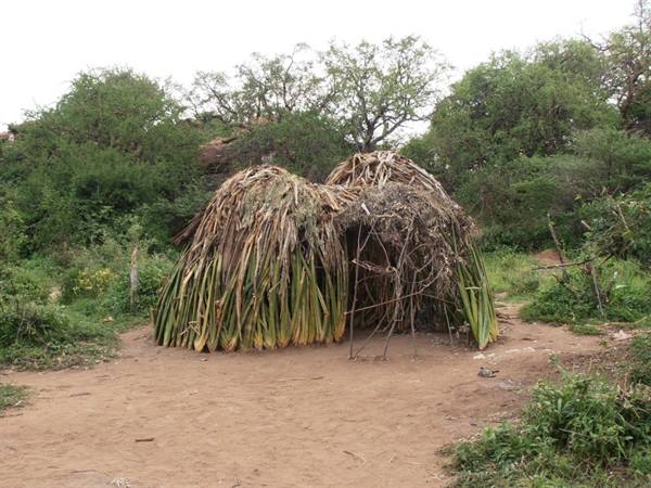 Hadzabe camp