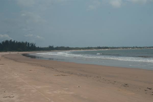 golden beach