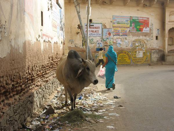 Nawalgarh