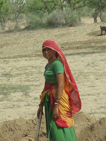 Mandawa - Bikaner road
