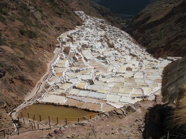 Maras
