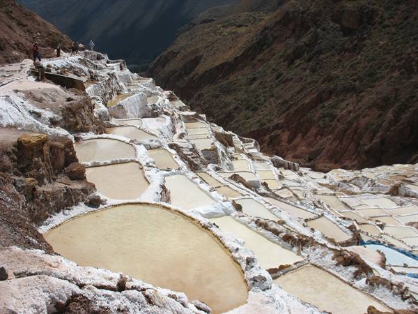 Maras