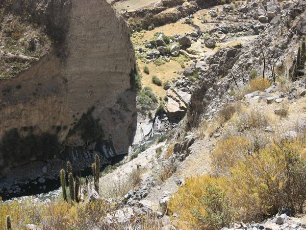 Colca Canyon