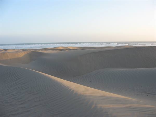 Ica Desert