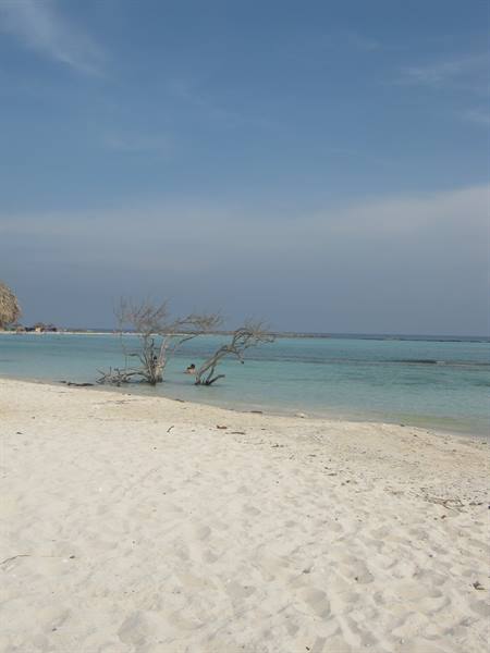 baby beach