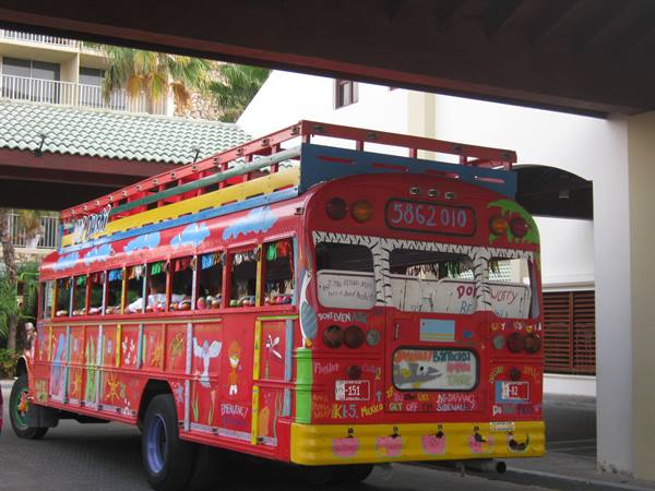 typical island bus