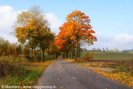 The road to Olsztyn