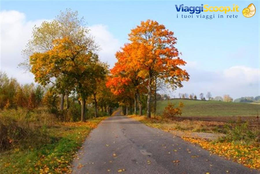 The road to Olsztyn