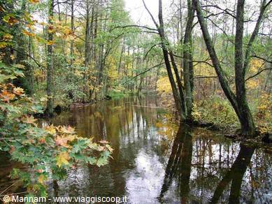 Masuria