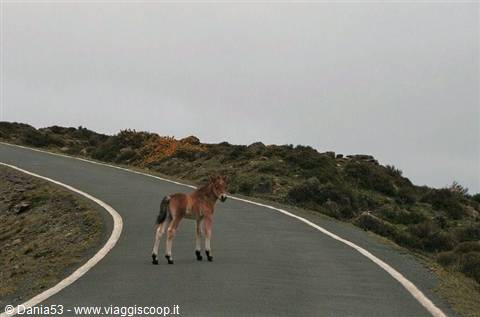 Sierra de la Capelada