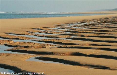 Biscarrosse beach