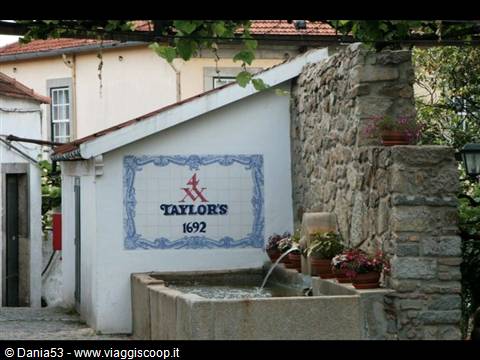 Vila Nova de Gaia-Taylor's winery