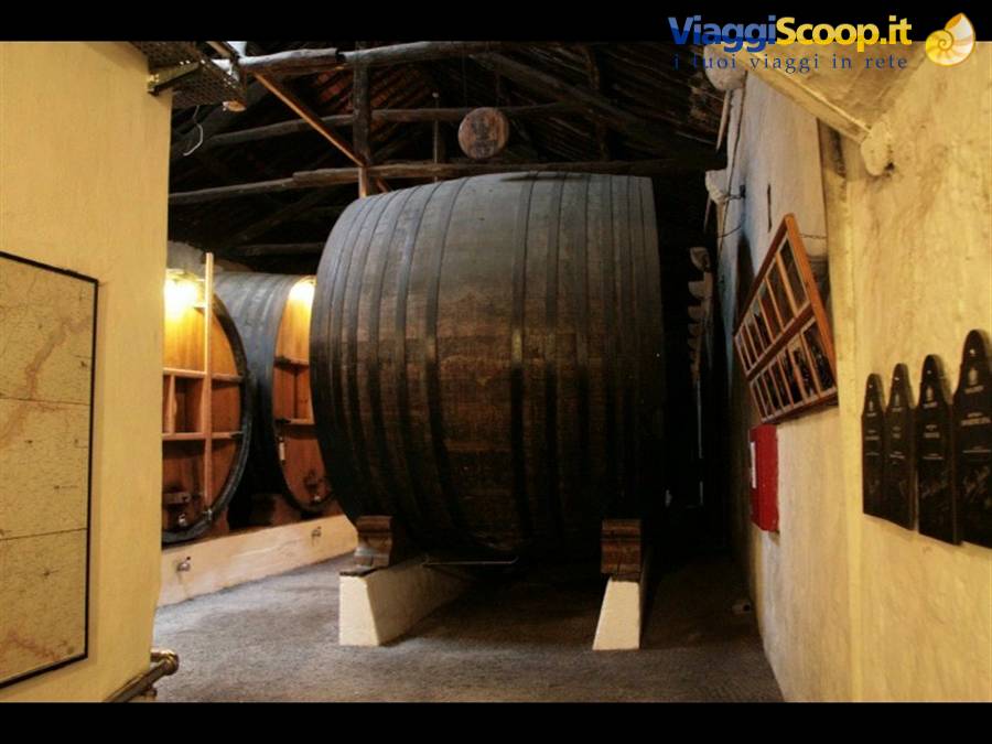 Vila Nova de Gaia Taylor's winery