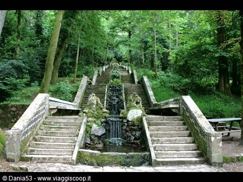 Mata do Buçaco Fonte Fria
