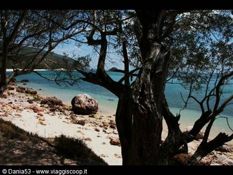 Portinho da Arrábida