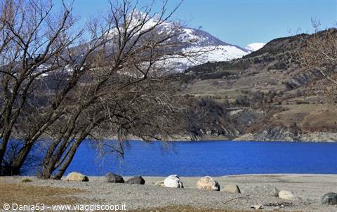 Bare trees on sandy lakeshore, snow-capped mountains in the background