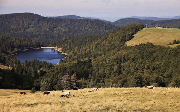 Lac de La Lande