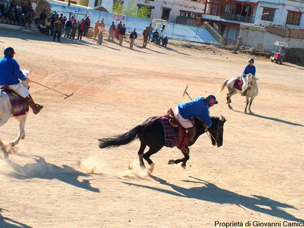 POLO MATCH