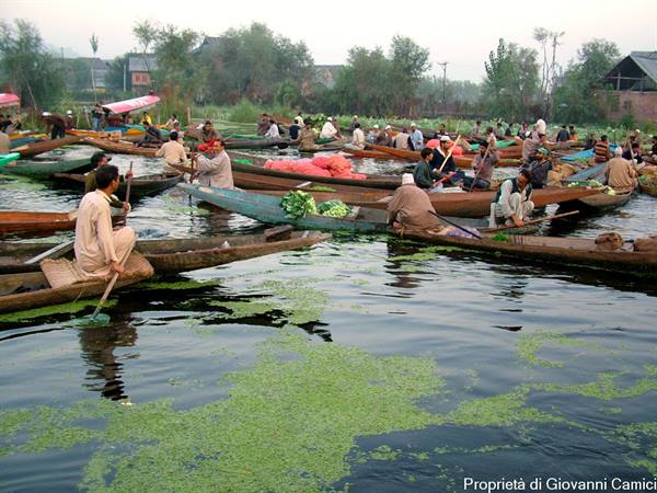 SRINAGAR,Floating market