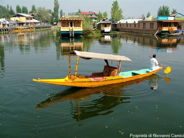 SRINAGAR,SHIKARA