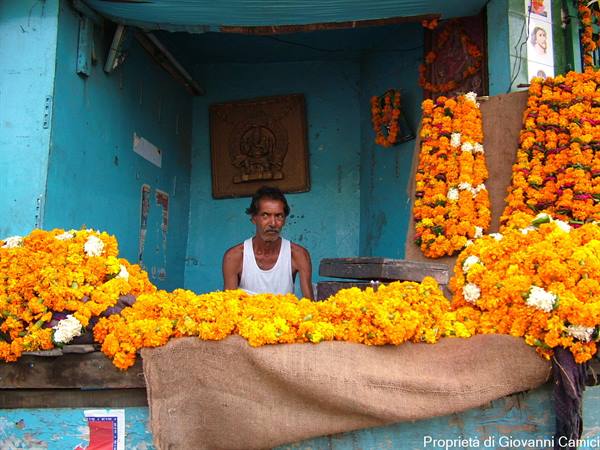 AMRITSAR, FLOWER GARLAND SELLER