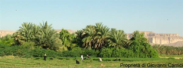 HADRAMAWT