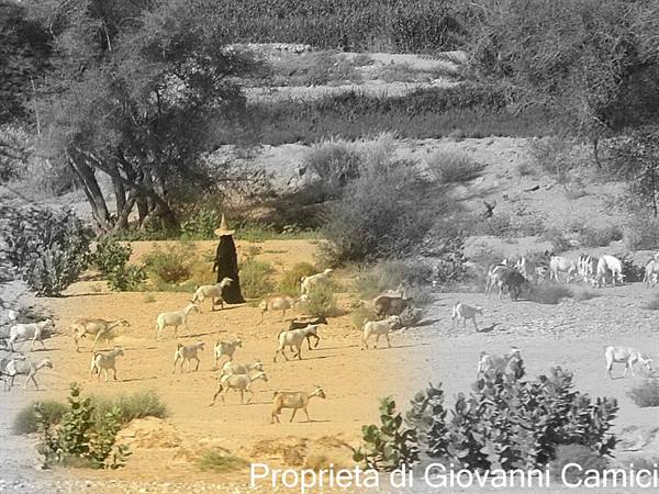 HADRAMAWT