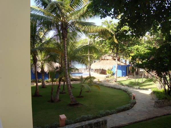 Tropical garden with palm trees, stone path and thatched gazebo near the pool