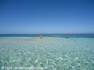 cayo arena dominican republic sosua 1