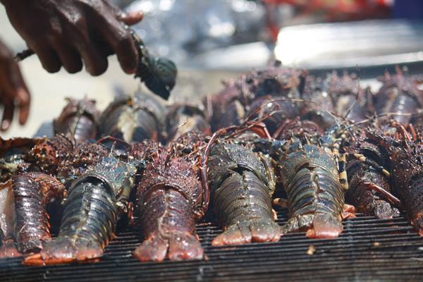 preparation of lunch with lobster at sardegna2