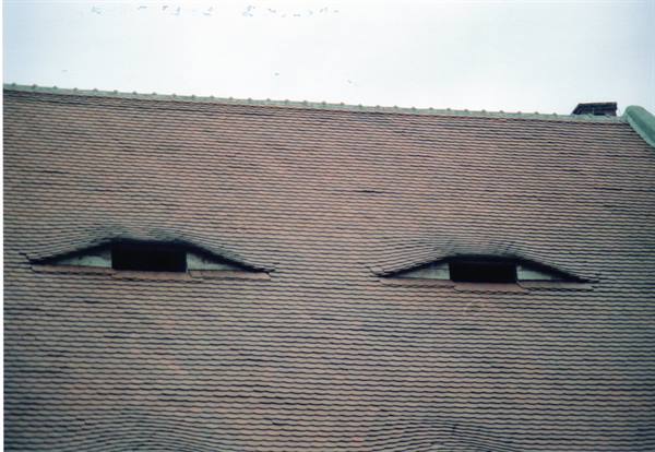 Red tile roof with two eyelike dormer windows squinting
