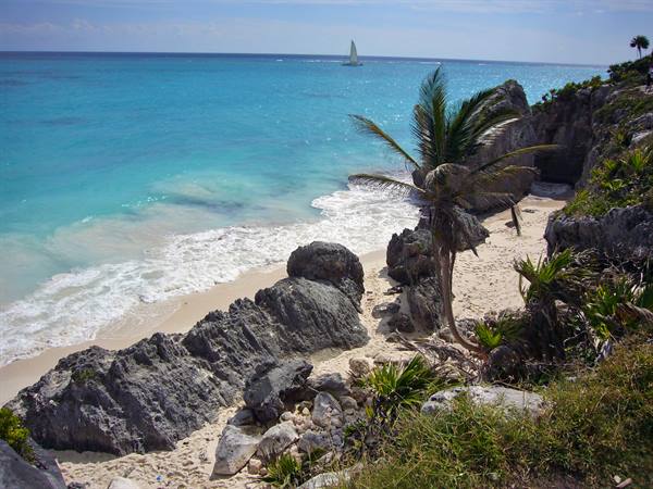 Palm tree on limestone cliffs above sandy beach, turquoise sea with sailboat, Tulum
