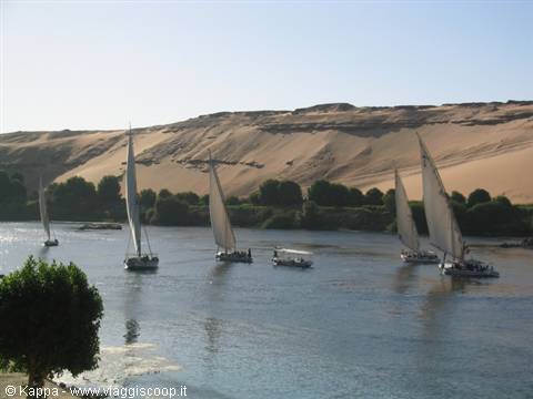 Feluccas sailing in front of the botanical garden