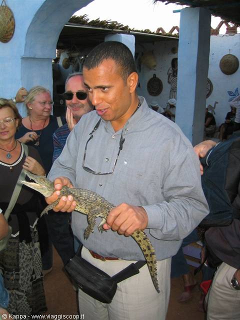 Our guide Nasser with a baby crocodile
