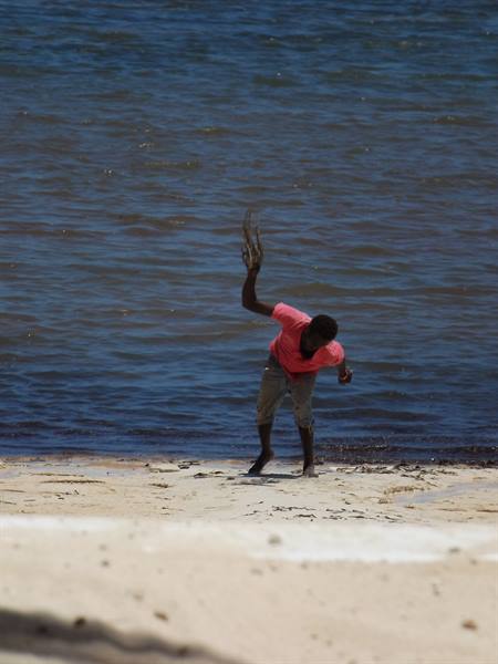 Malindi - beach