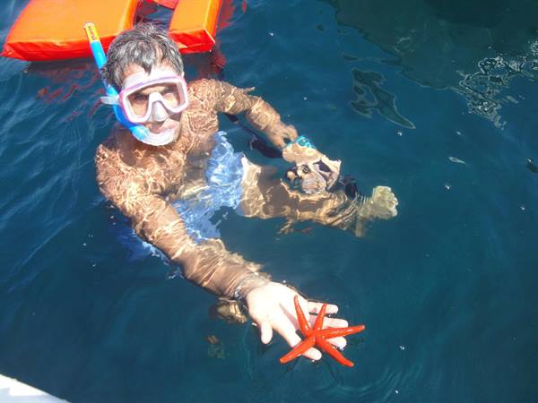 starfish and sea urchins...