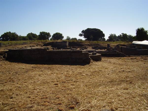 Ancient dark stone ruins amid dry grass and pine trees