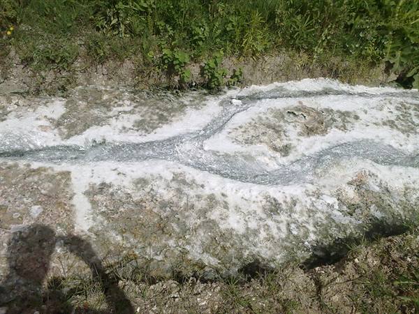 Spring of the Zitelle